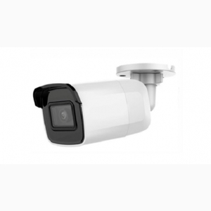 Camera IP HDParagon HDS-2021IRPW - 2MP