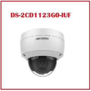 Camera IP Hikvision DS-2CD1123G0-IUF