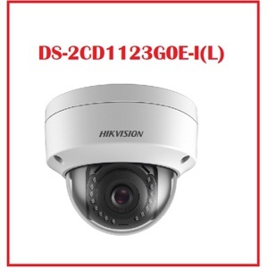 Camera IP Hikvision DS-2CD1123G0E-I - 2MP