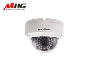 Camera IP Hikvision DS-2CD2110F-IW