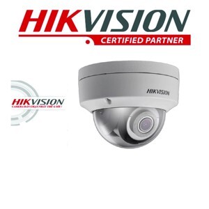 Camera IP Hikvision DS-2CD2121G0-IWS
