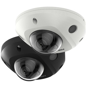 Camera IP Hikvision DS-2CD2543G2-IWS