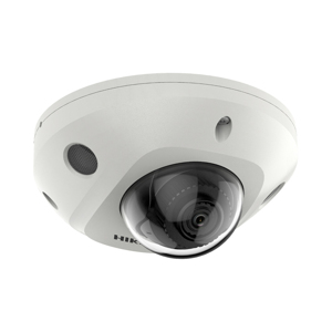 Camera IP Hikvision DS-2CD2543G2-IWS