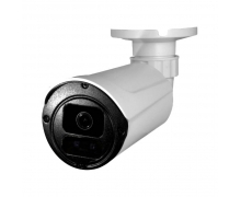 Camera IP hồng ngoại  Avtech AVN2503