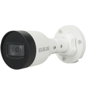 Camera IP hồng ngoại Dahua DS2431SFIP-S2 - 4MP