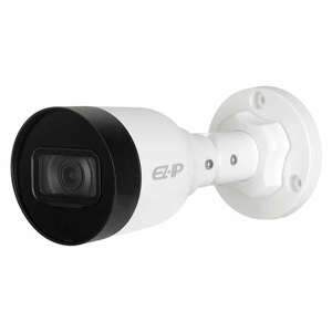 Camera IP hồng ngoại Dahua DS2431SFIP-S2 - 4MP