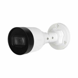 Camera IP hồng ngoại Dahua DS2431SFIP-S2 - 4MP