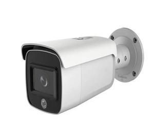 Camera IP hồng ngoại HDParagon HDS-2246IRP8/SL - 4MP