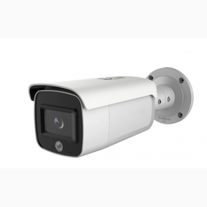 Camera IP hồng ngoại HDParagon HDS-2246IRP8/SL - 4MP