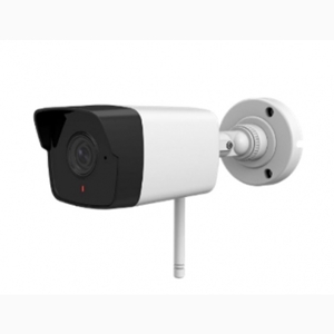 Camera IP hồng ngoại HDParagon HDS-1021IRAW - 2MP