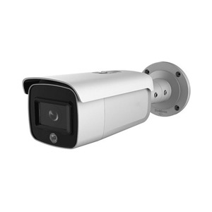 Camera IP hồng ngoại HDParagon HDS-2246IRP8/SL - 4MP