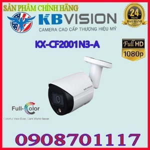 Camera IP KBvision KX-CF2001N3-A