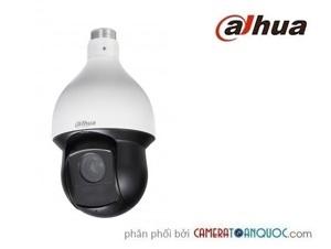 Camera IP Speed Dome Dahua SD59120T-HN