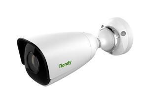 Camera IP Tiandy TC-NC214S