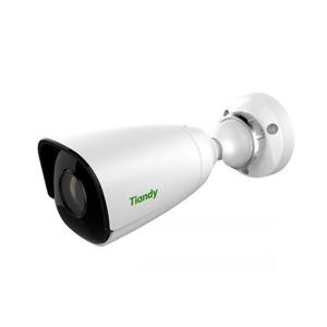 Camera IP Tiandy TC-NC214S