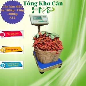 Cân bàn điện tử A12 100kg