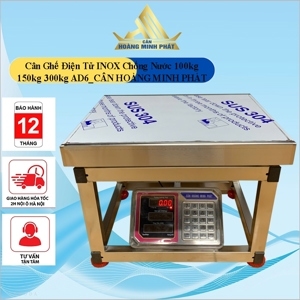 Cân ghế điện tử NiNDA AD6 cân tối đa 300kg