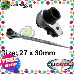 Cần khóa tuýp đuôi chuột Licota ARW-40M2730