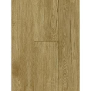 Đồng hồ nam Candino C2085-5