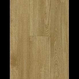 Đồng hồ nam Candino C2085-5