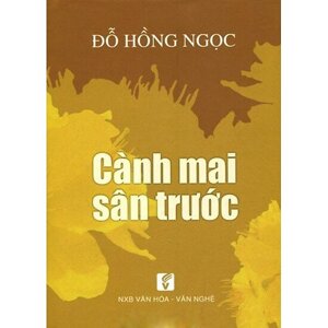 Cành mai sân trước