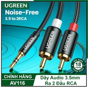 Cáp Audio 3.5mm to 2 RCA 1M Ugreen 10749