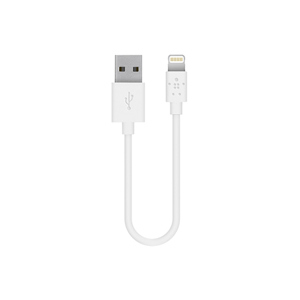 Cáp Belkin Lightning Sync Charge 2.4A 15Cm - F8J023Bt06In