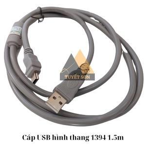 Cáp chuyển USB sang 1394