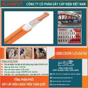 Cáp điện chống cháy Cadivi CXV/FR-1×25