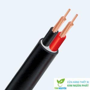 Cáp điện hạ thế 2 lõi ruột đồng PVC 0.6/1kV CADIVI CV CVV-2×400