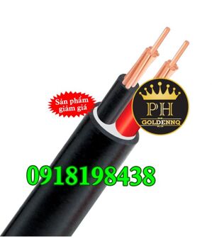 Cáp điện hạ thế 2 lõi ruột đồng PVC 0.6/1kV CADIVI CV CVV-2×150