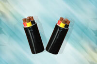 Cáp điện hạ thế 4 lõi ruột đồng PVC 0.6/1kV CADIVI CV CVV-4×300
