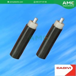 Cáp điện lực hạ thế 1 lõi ruột nhôm cách điện XLPE 0.6/1kV Cadivi CV AXV10