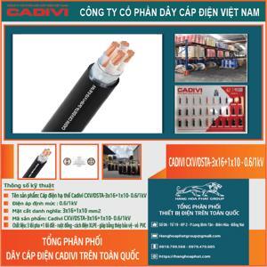 Cáp điện lực hạ thế 3 lõi pha + 1 lõi đất 0.6/1kV CADIVI CV CXV/DSTA-3×16+1×10