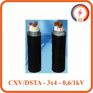 Cáp điện lực hạ thế có giáp bảo vệ 3 lõi 0.6/1kV CADIVI CV CXV/DSTA-3×4
