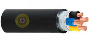 Cáp điện lực hạ thế có giáp bảo vệ 4 lõi 0.6/1kV CADIVI CV CVV/DSTA-3×10+1×6