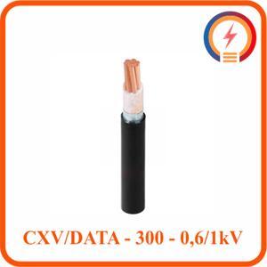 Cáp điện lực hạ thế có giáp bảo vệ 1 lõi 0.6/1kV CADIVI CV CXV/DATA-300