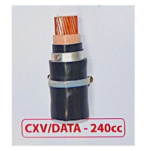 Cáp điện lực hạ thế có giáp bảo vệ 1 lõi 0.6/1kV CADIVI CV CXV/DATA-240