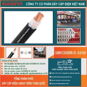 Cáp điện lực hạ thế có giáp bảo vệ 1 lõi 0.6/1kV CADIVI CV CXV/DATA-35