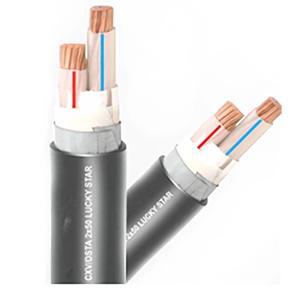 Cáp điện lực hạ thế có giáp bảo vệ 2 lõi 0.6/1kV CADIVI CV CXV/DSTA-2×10