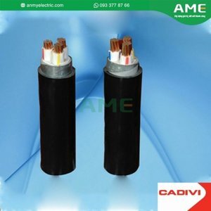 Cáp điện lực hạ thế có giáp bảo vệ 3 lõi 0.6/1kV CADIVI CV CVV/DSTA-3×10