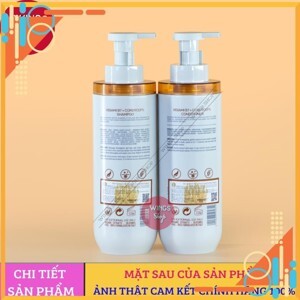 Cặp học sinh siêu nhẹ chống gù lưng Tiger Family Rainbow