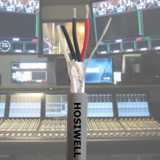 Cáp Hosiwell chống nhiễu 2 Pair 16AWG 9216-2P