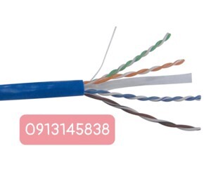Cáp mạng AMP CAT 6E AMP 1427254-6