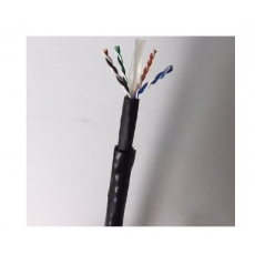 Cáp mạng Cat6 UTP Hosiwell 30022-D-BK