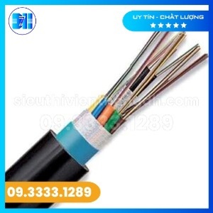 Cáp quang luồn cống Single Mode 24FO