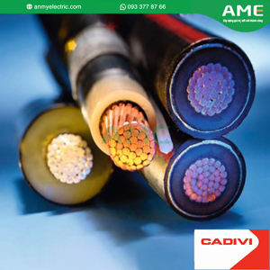 Cáp trung thế Cadivi CXV/SE/SWA-3×150