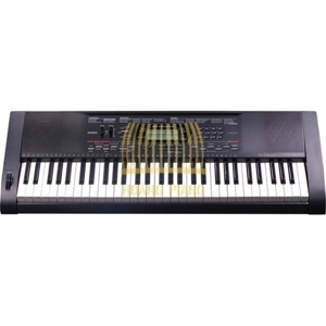 Đàn Organ Casio CTK-3000