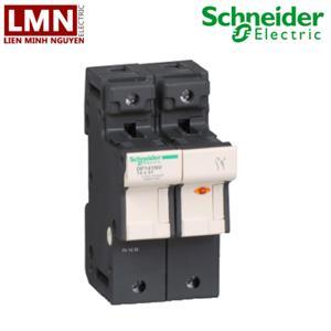 Cầu chì bảo vệ Schneider DF141NV