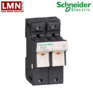 Cầu chì bảo vệ Schneider DF142V